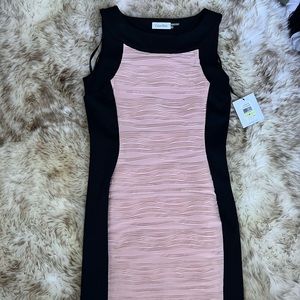NWT Calvin Klein Black and Blush Pink Dress